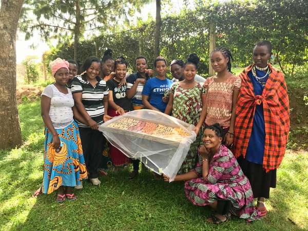 The importance of food preservation