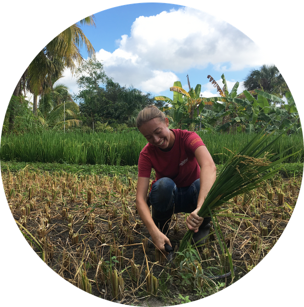 Agroecosystems for Smallholder Resilience