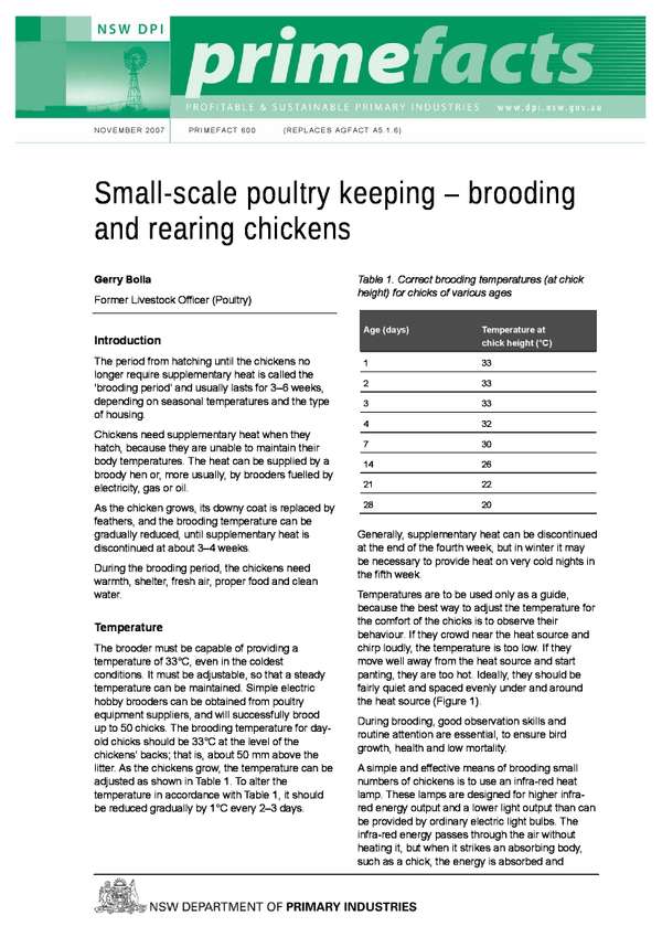 Small-Scale Poultry Keeping – Brooding and Rearing Chickens – NSW DPI ...