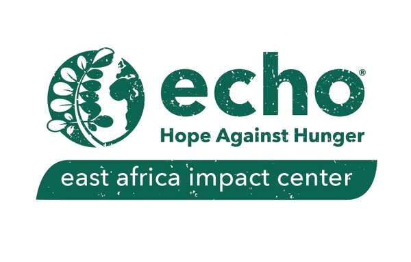 ECHO is looking for a Director to lead our East Africa Regional Impact Center, located in Arusha, Tanzania