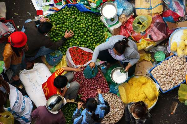 Helping Smallholders Earn More: Agribusiness Tools for Development Workers
