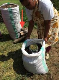 Sack Garden Step 3