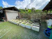 EDN172 Figure 7 aquatic plant production space