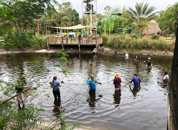 From ECHO's Farm: Fish Harvest 2023