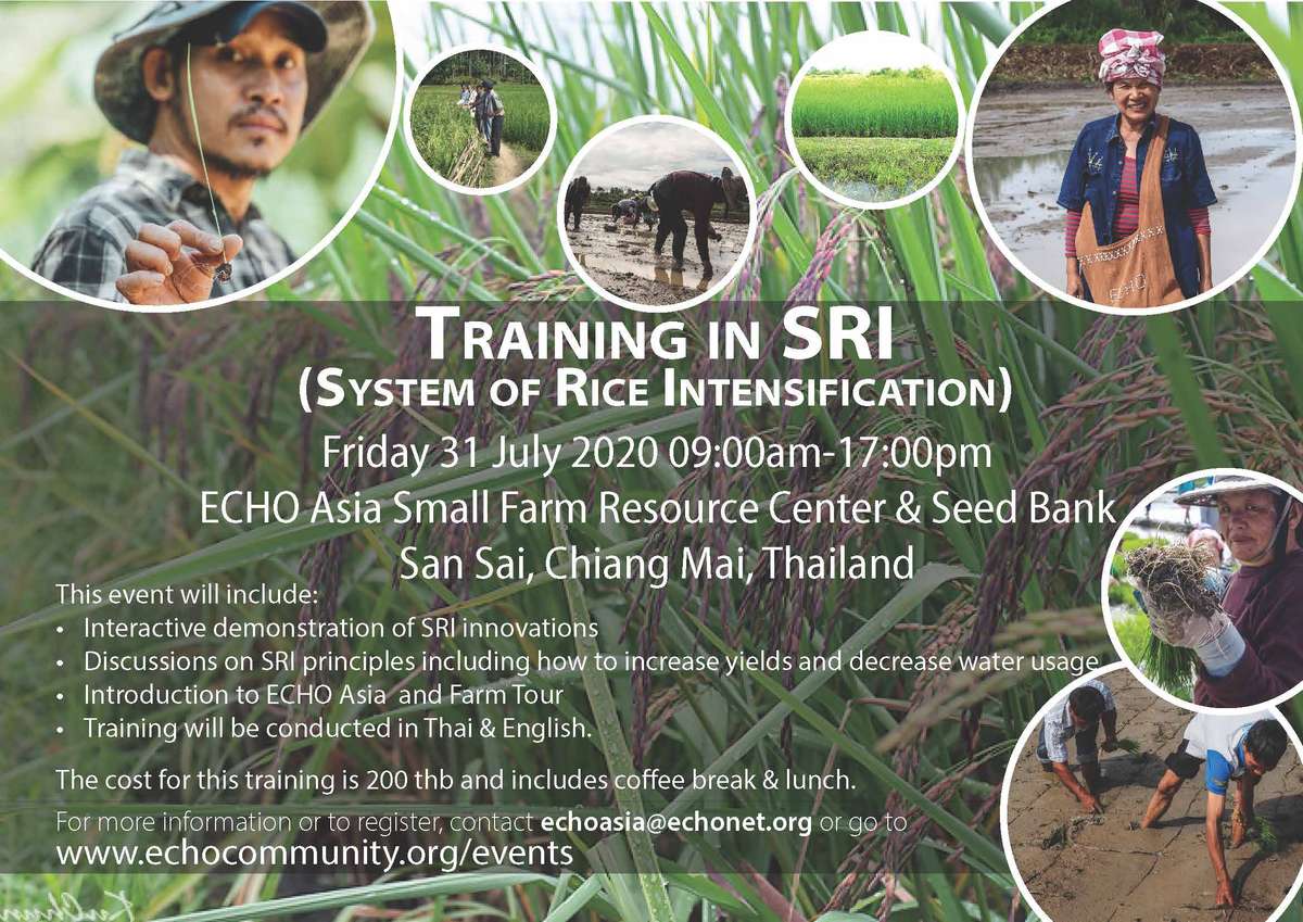 SRI Training July 2020 promo