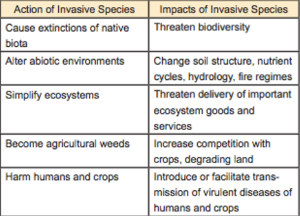 Tropical Forage Crops