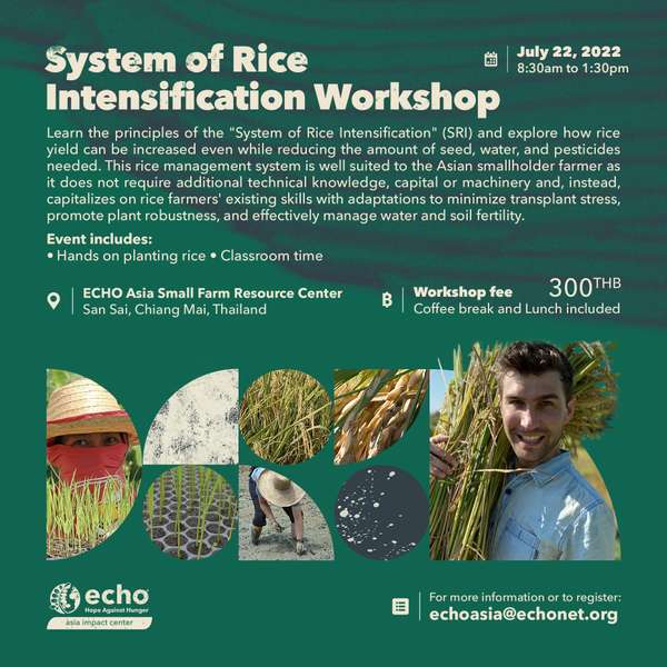 System of Rice Intensification (SRI) Workshop Flier_July 2022_English