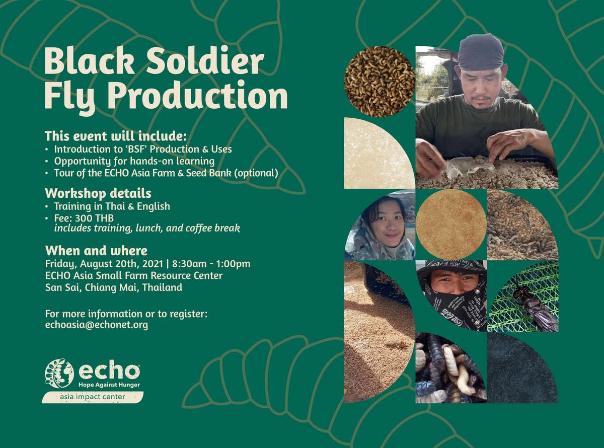 Black Soldier Fly Production Workshop flyer
