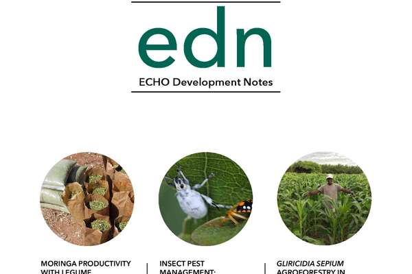 EDN Issue #153