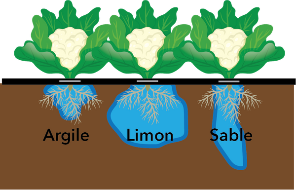 EDN158 Figure 4_Fr