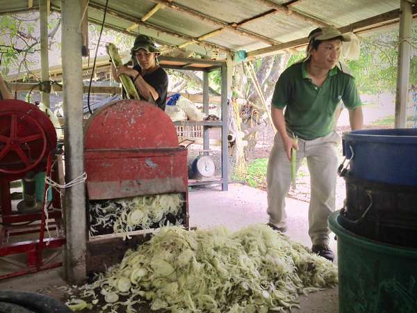 Share your experience with these innovations!