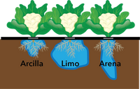 EDN158 Figure 4_Esp