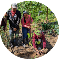 CAC planting circle