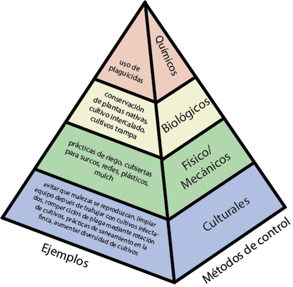 IPM prevention pyramid_Esp