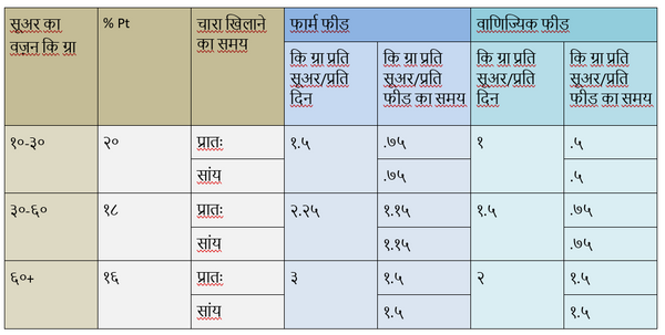 AN42 Table3 Hindi