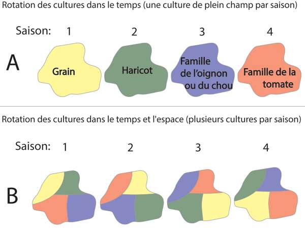 EDN145 figure 6 French