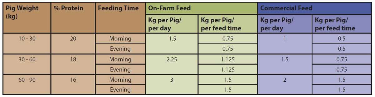 AN 42 Pig feed Table3