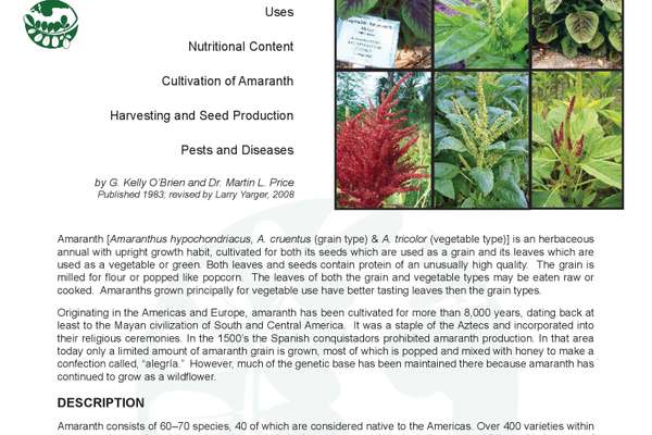 Amaranthus Cruentus Native Range