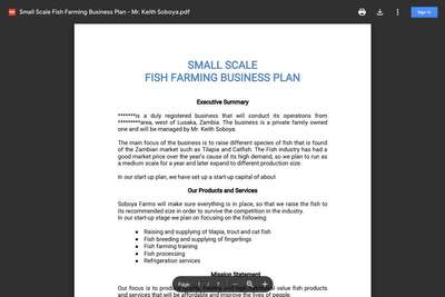 fish farming business plan in zambia pdf