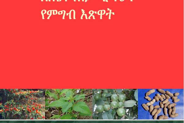 በኢትዮጵያ ውስጥ የሚገኙ ለጤና ጠቃሚ የሆኑ የምግብ እጽዋት | ECHOcommunity.org