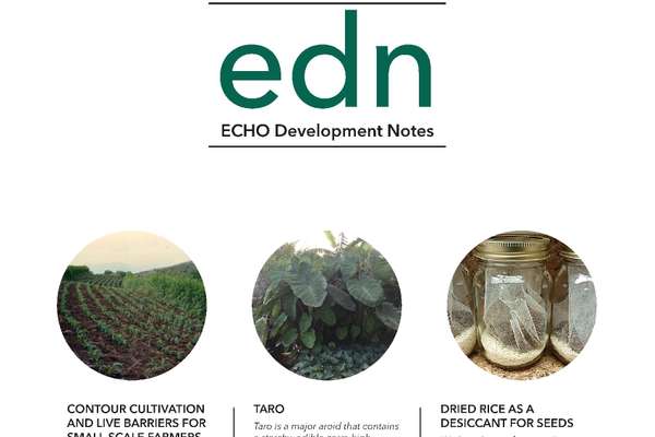EDN Issue #162