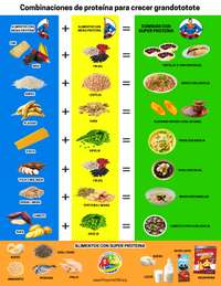 Protein complimenting poster Spanish