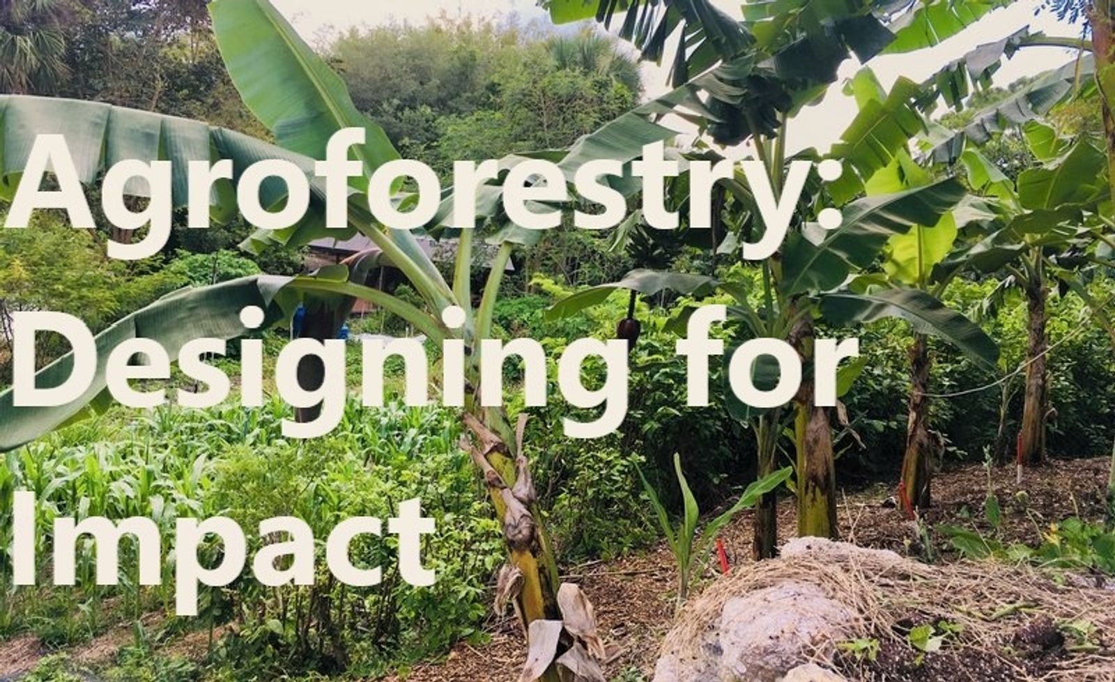 Course Promo Intro to Agroforestry | ECHOcommunity.org