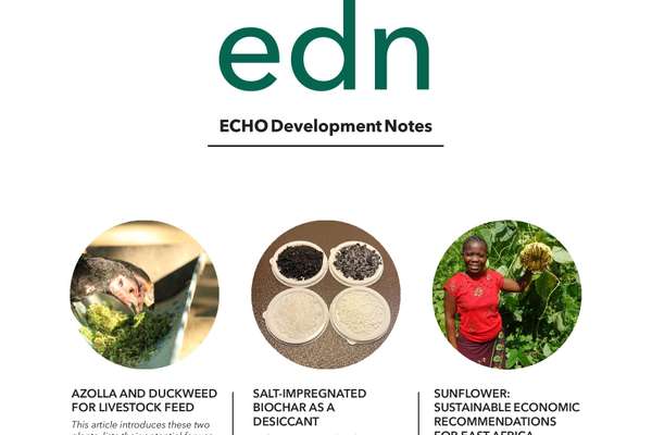 EDN Issue #172