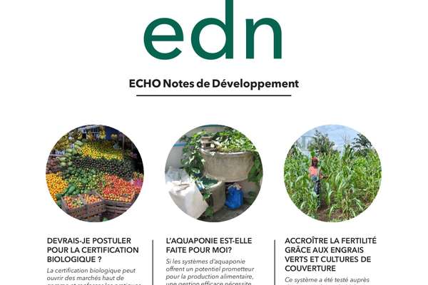 EDN Numéro 170