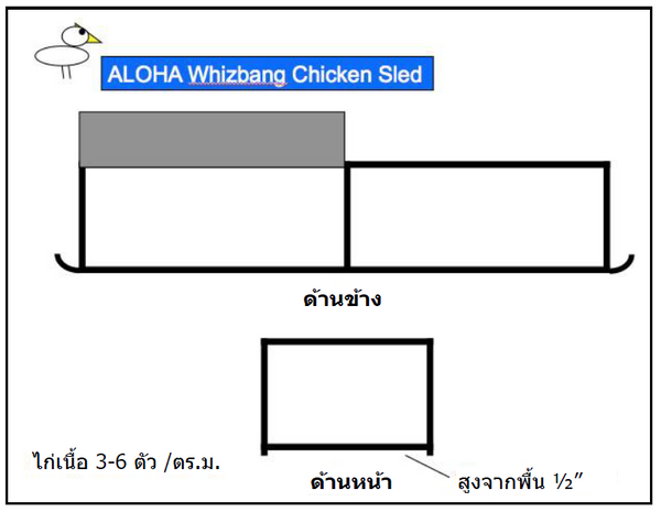 AN 28 Chicken Fig 3 THAI