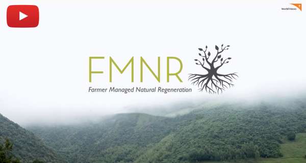 Resource Spotlight: FMNR Introduction Video
