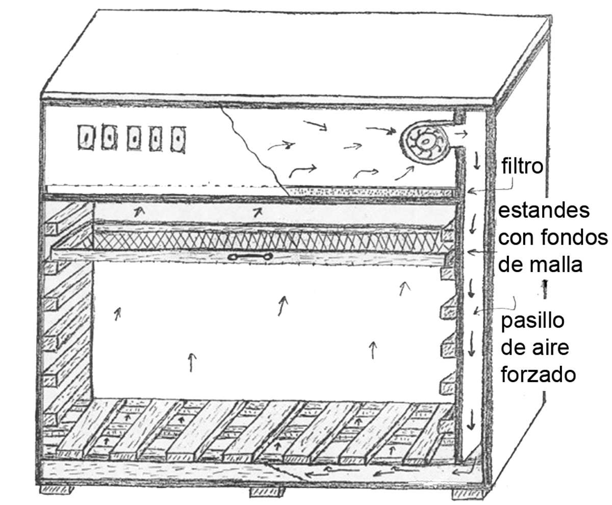 TN87 Spanish figure 1