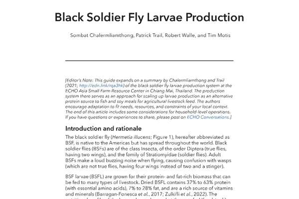 TN #99 Black Soldier Fly Larvae Production