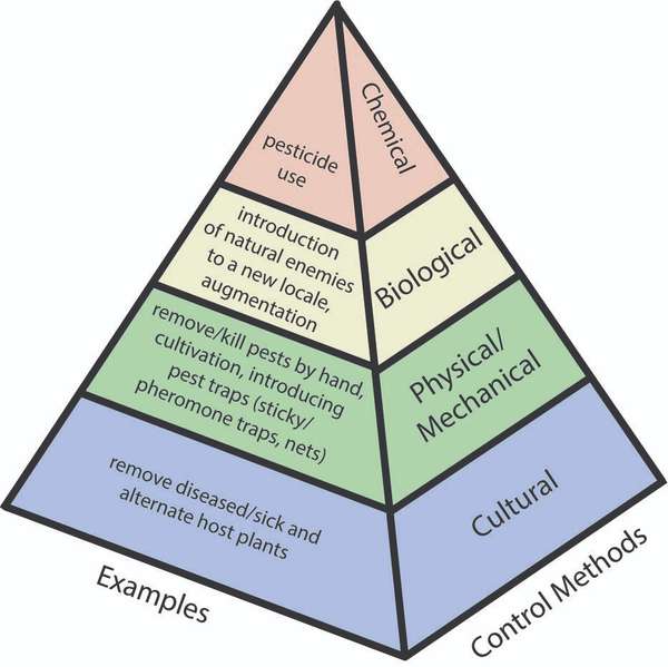 Ground control for pests: Methods of control