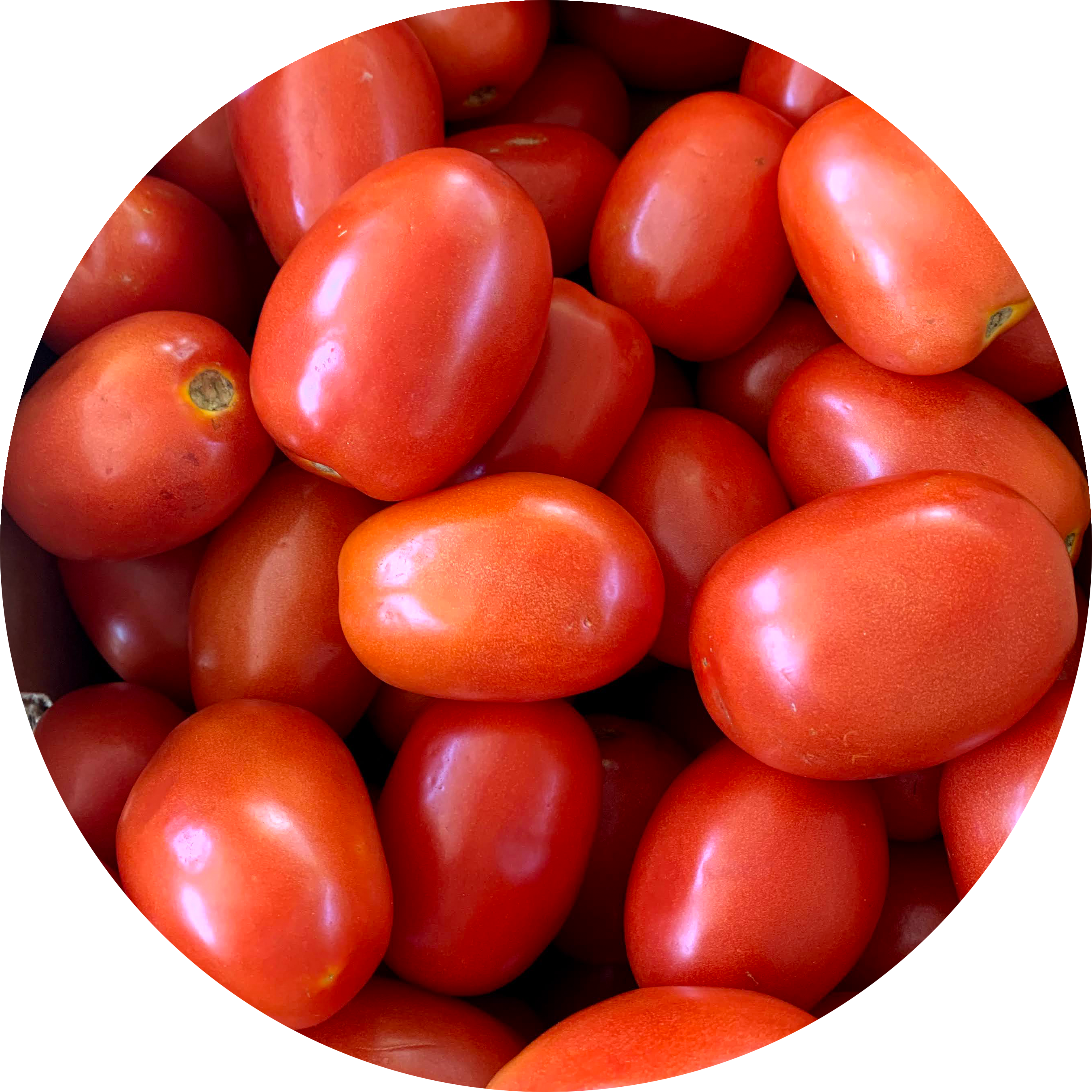 Research Update: Does wood ash help preserve tomatoes?