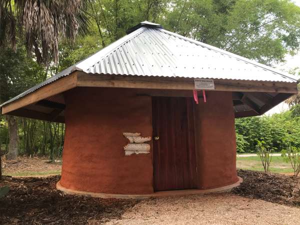 Seed storage in the tropics