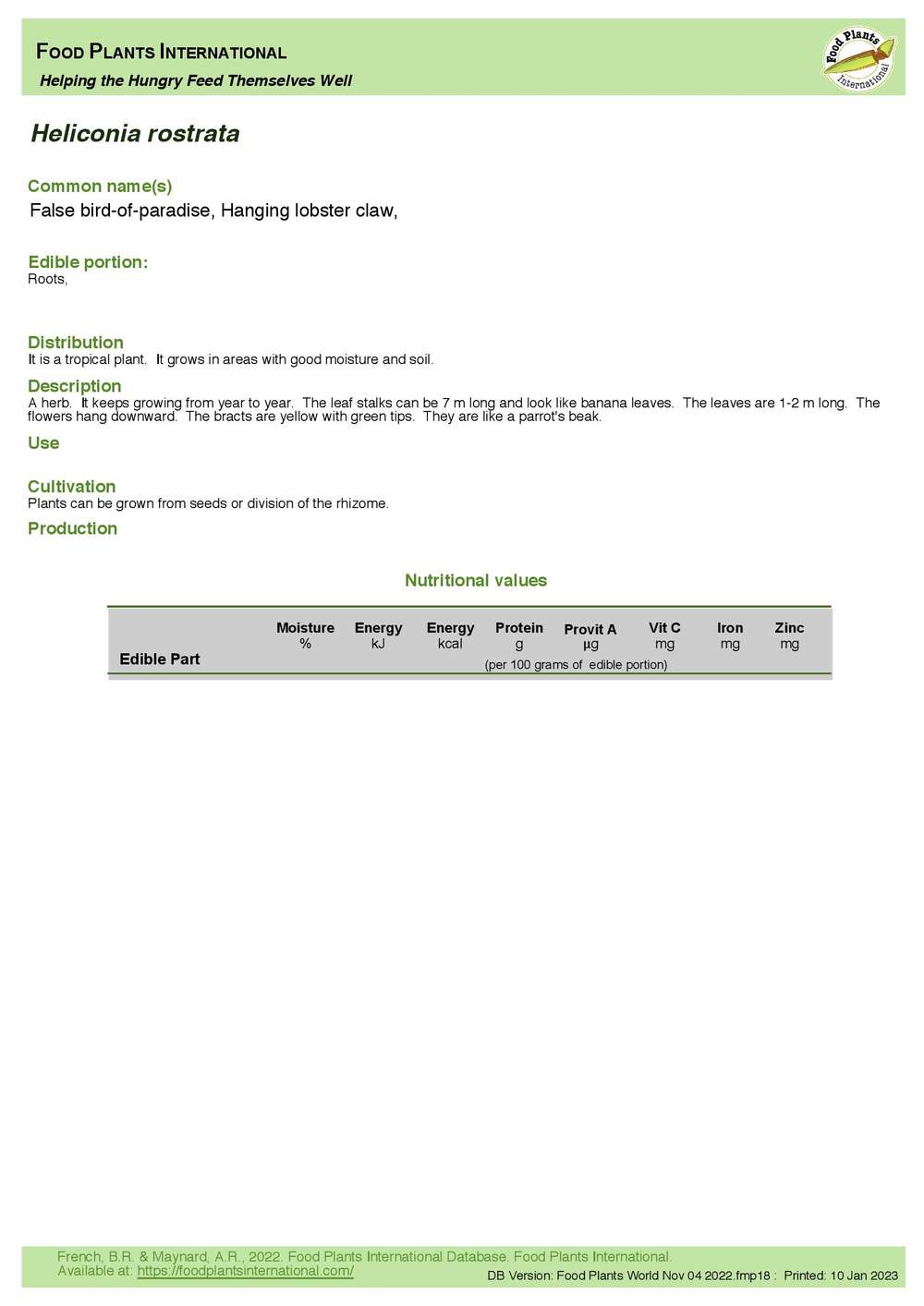 Heliconia rostrata Hanging Lobster Claw