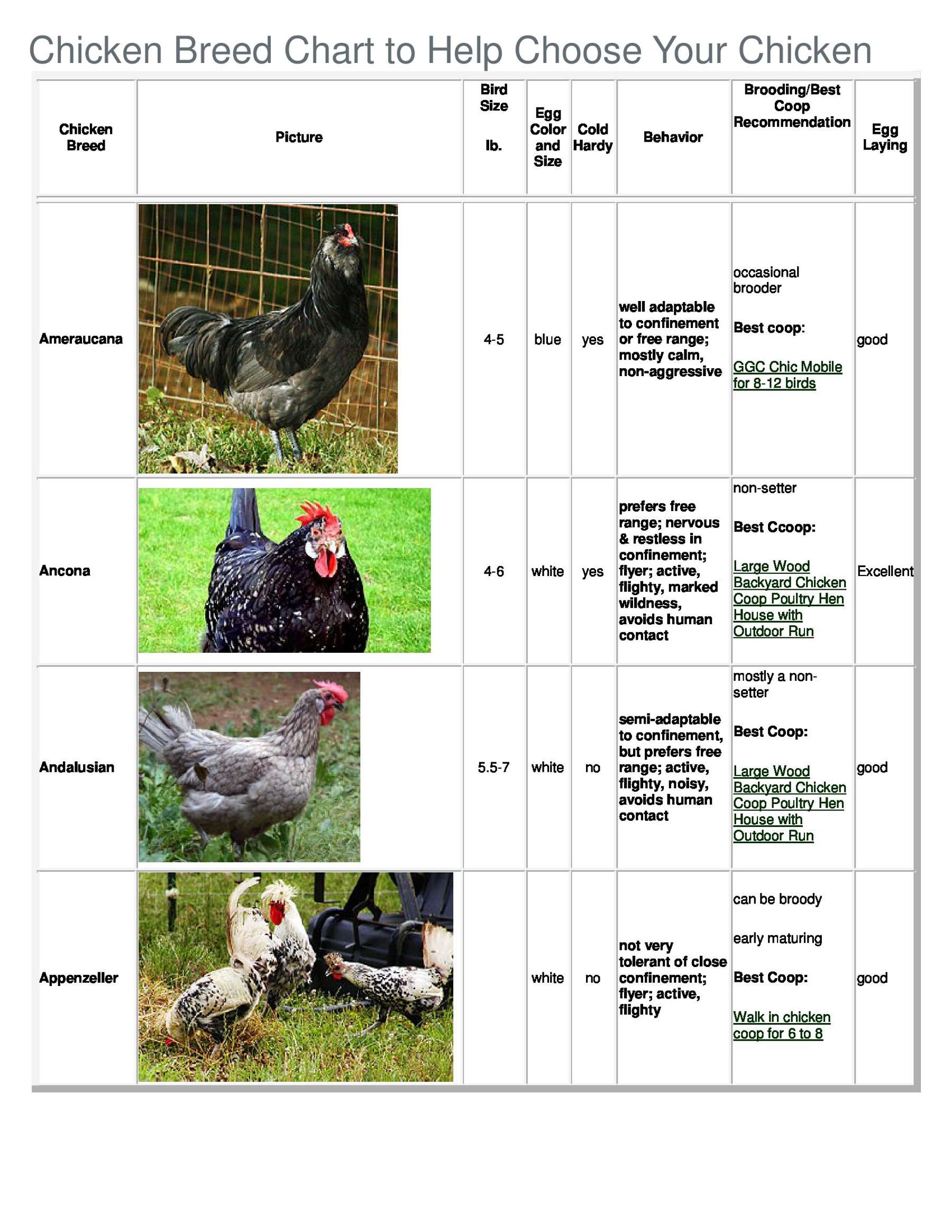 Chicken Breed Chart to Help Choose Your Chicken | ECHOcommunity.org