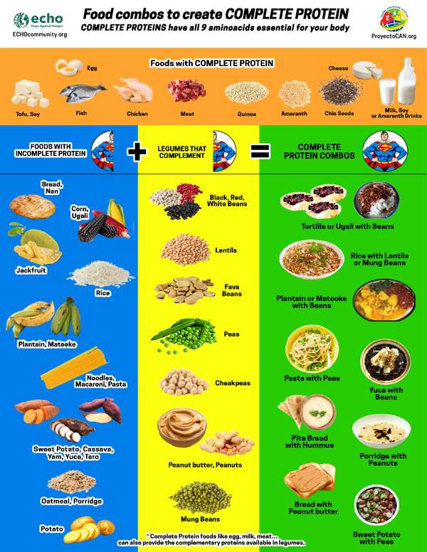 Food Combos to Create Complete Protein! | ECHOcommunity.org