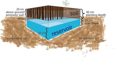 TN #95 100-Fold Vegetable Gardens with Low-Cost Wicking Beds