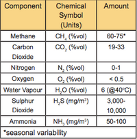 Running a Diesel Engine on Biogas table 1