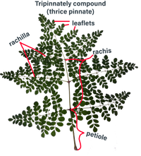 EDN163 Figure 2