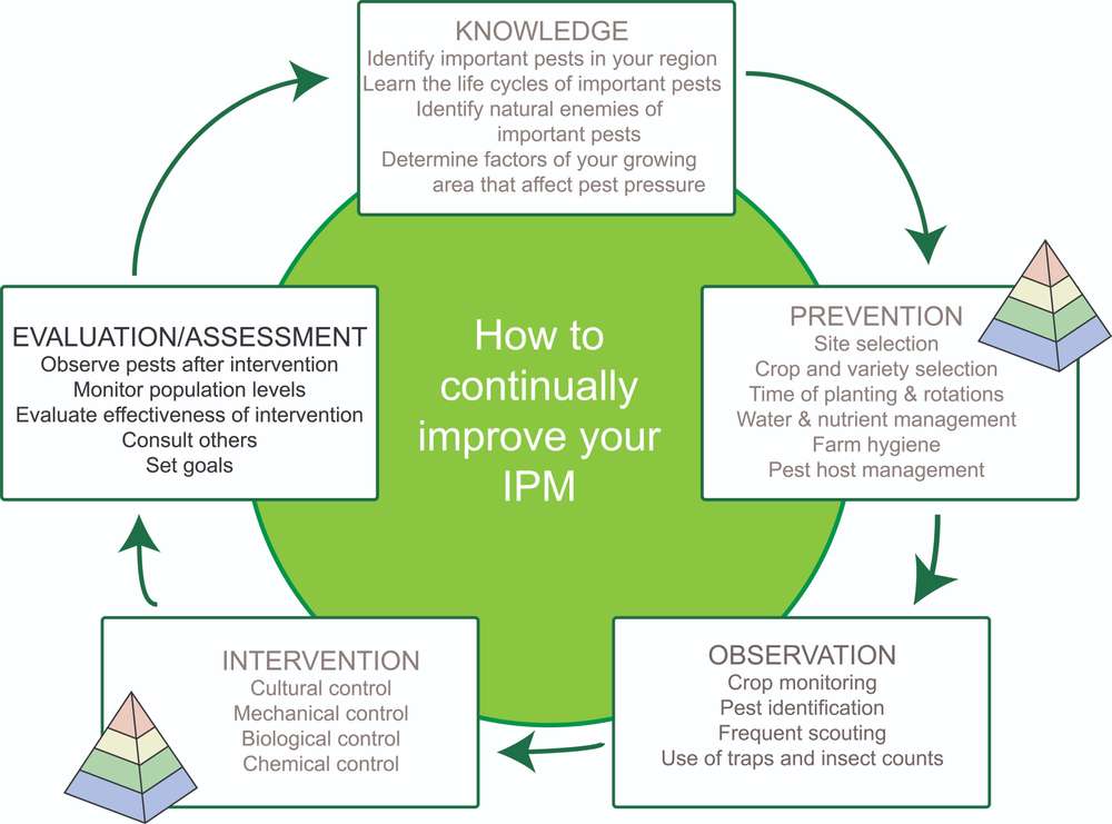 Insect Pest Management: Evaluation and Assessment | ECHOcommunity.org