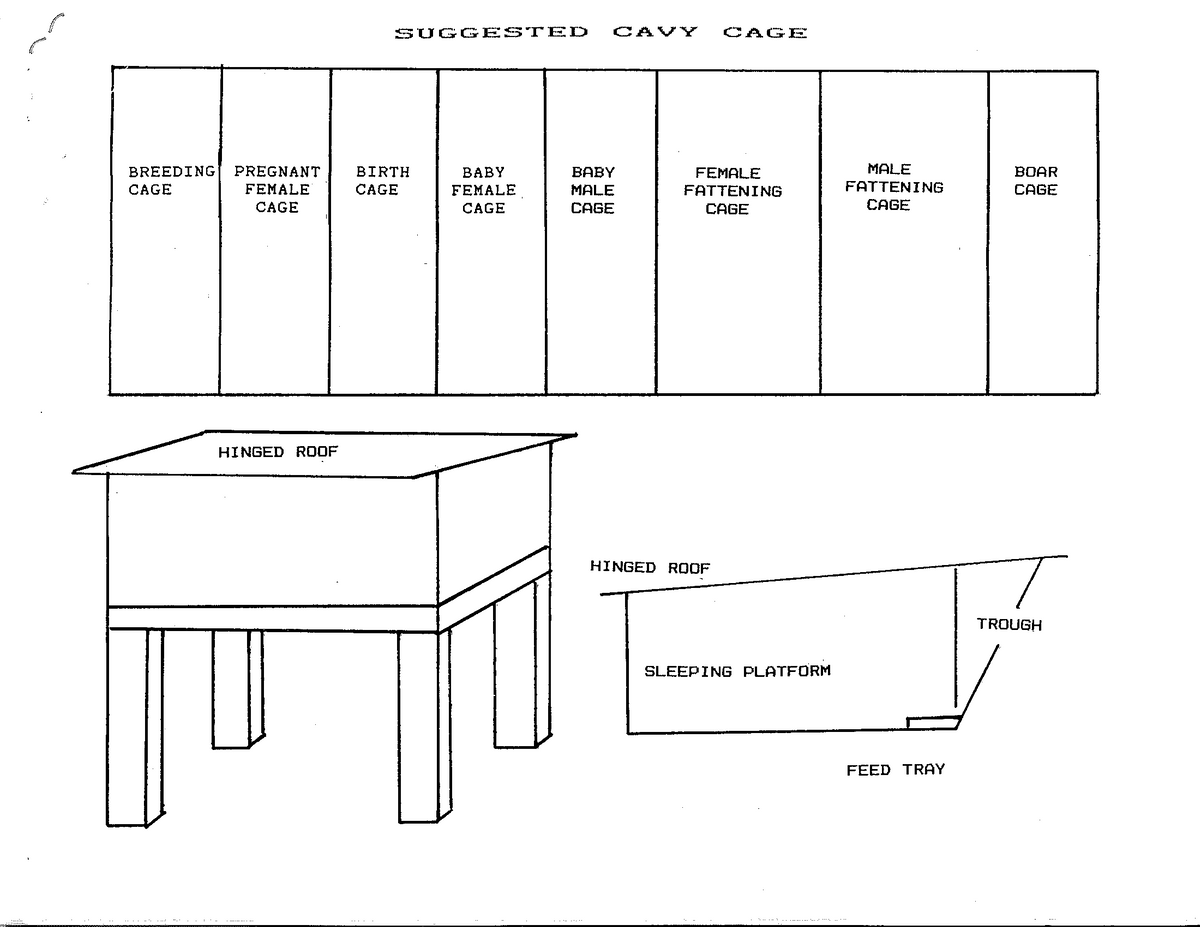 TN22 figure 1