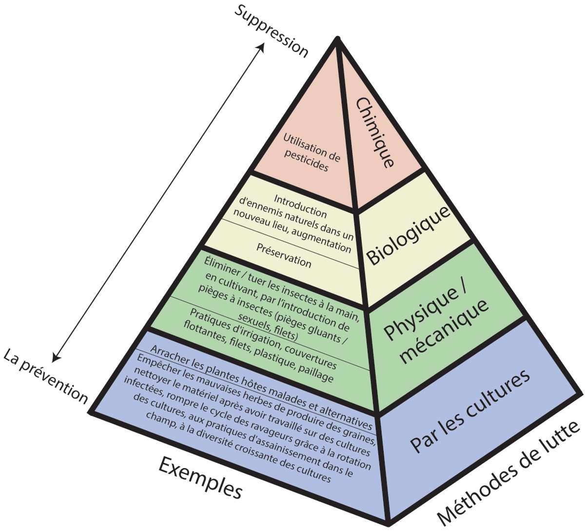 EDN145 figure 5 French