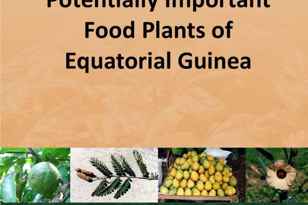 potentially-important-food-plants-of-equatorial-guinea-echocommunity