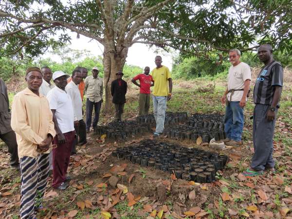 Planter Des Arbres Avec Des Graines Et Planter Des Arbres Aux Mains Des  Agriculteurs Idées De Croissance Des Plantes