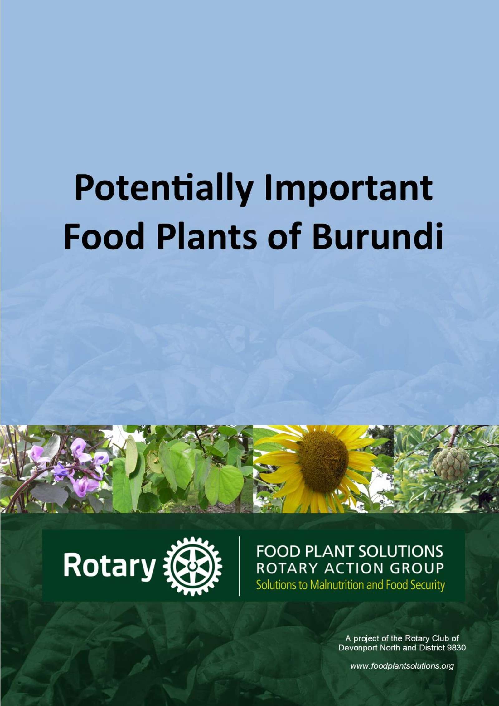 potentially-important-food-plants-of-burundi-echocommunity