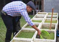 EDN172 Figure 6 Aquatic plant harvest