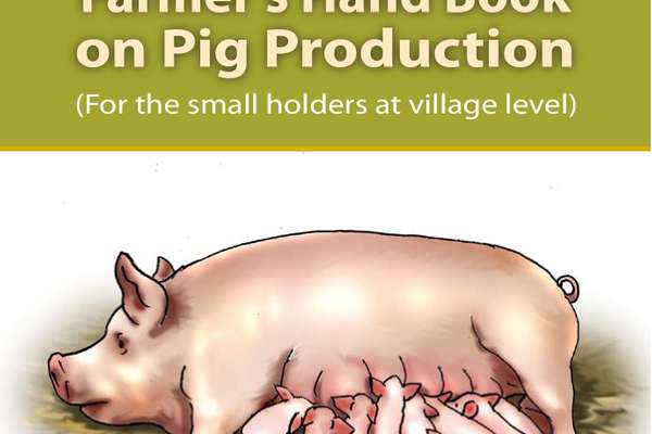 Farmer’s Hand Book on Pig Production – FAO | ECHOcommunity.org